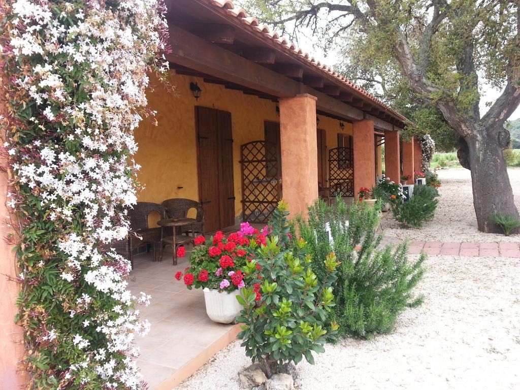 Agriturismo La Barca In Secca Olmedo Buitenkant foto